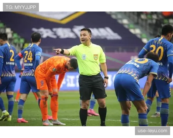 比赛官员分工规则详解：不同裁判职责如何影响判罚效率